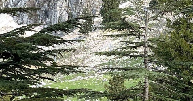 Osmaniye’de kayalıklardan düşen adam hayatını kaybetti