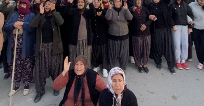 Mersin’de ormanlık alana ekili narenciye bahçelerinin kaldırılması kararına tepki