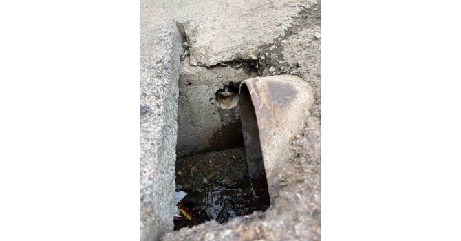 İskenderun’da rögar borusuna düşen yavru kediler kurtarıldı