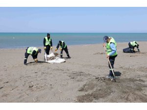 Hatay Büyükşehir Belediyesi, sahillerde temizlik çalışmasını yıl boyu sürdürüyor