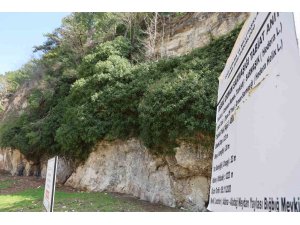 4 bin yıllık sarmaşığın gölgesinde baharı karşıladılar