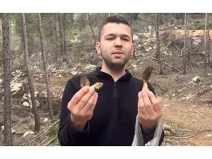 Feke’de kuzu göbeği bereketi