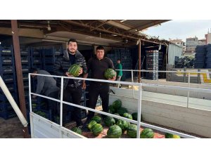 Antalya’da sezonun ilk karpuz hasadı yapıldı