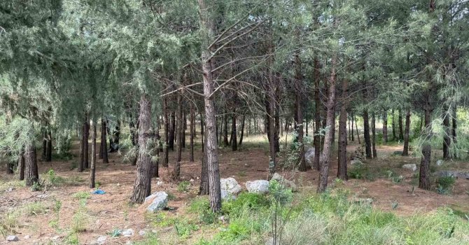 Anne ve oğlunu öldüren katil akrabaların çaldıkları altınları kuyumcuya sattıkları ortaya çıktı