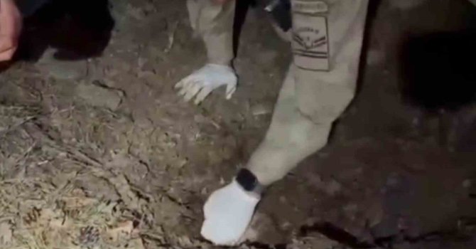 Bilezikler için anneyi ve oğlunu öldüren katil morga gidip, olayı gerçekleştirenleri gördüğünü söylemiş