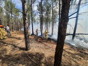 Mersin’de orman yangınlarına karşı tatbikat yapıldı