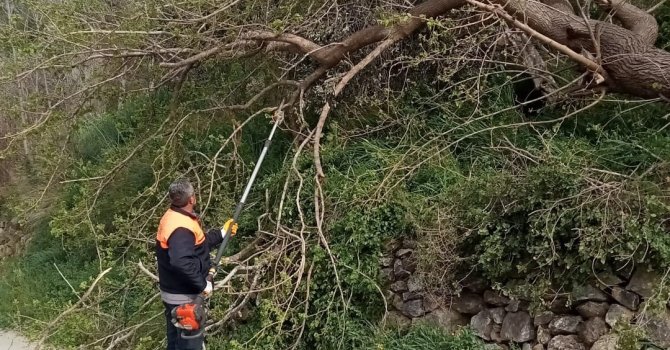 Osmaniye’de fırtına etkili oldu, devrilen ağaçlar yolları kapattı