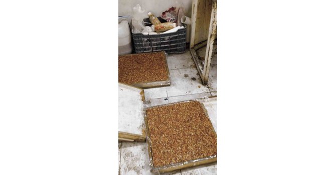 Kötü koku üzerine girilen evde mide bulandıran şartlarda lokum ve cezerye üretildiği ortaya çıktı