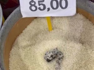 Mersin’de skandal görüntü: Pirinçten kedi dışkısı çıkan markete ceza