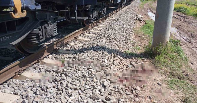 Osmaniye’de yük treninin çarptığı kişi yaralandı