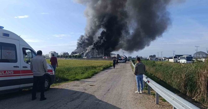 Antalya’da patates üretim tesisinde yangın