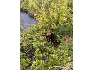 Yayladağı’nda gölete düşen büyükbaş hayvan kurtarıldı