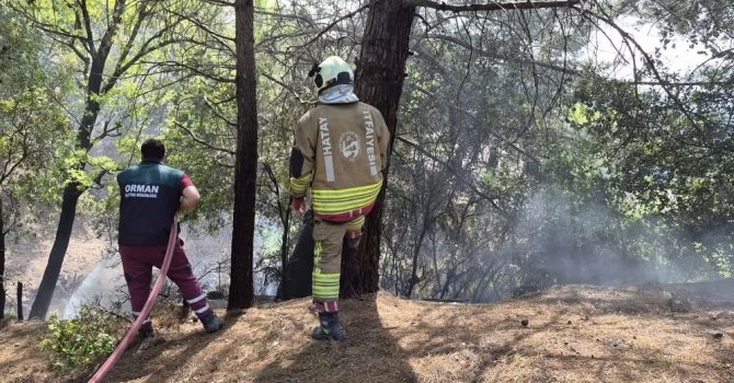 İskenderun’da orman yangını kontrol altına alındı