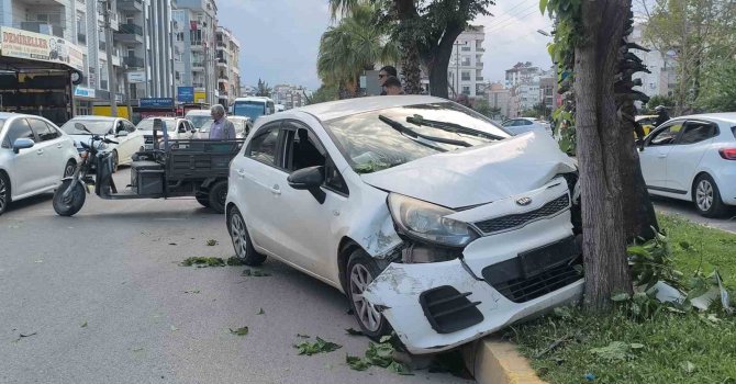 Yaya geçidinden geçen motosiklete çarpmamak için direksiyonu kırınca ağaca çarptı