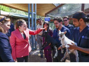 Başkan Vekili Büşra Özdemir: "Veteriner hekimlerin üstlendikleri sorumluluk çok kıymetli"