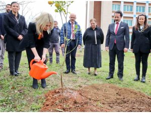 Akdeniz Üniversitesi’nde son 2 yılda 5 bin fidan dikildi