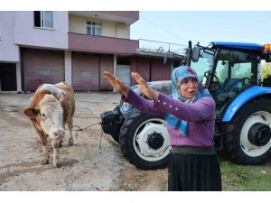Kozan’daki selde hayvanları telef olan kadın: "Bir anda sel geldi, ahırın üstünü aştı"