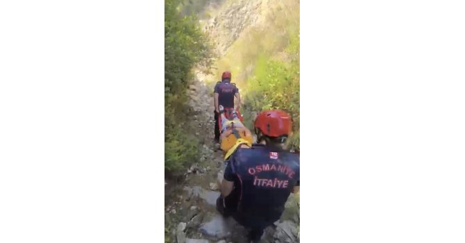 Kekik toplarken dere yatağına düşen çocuk yaralandı