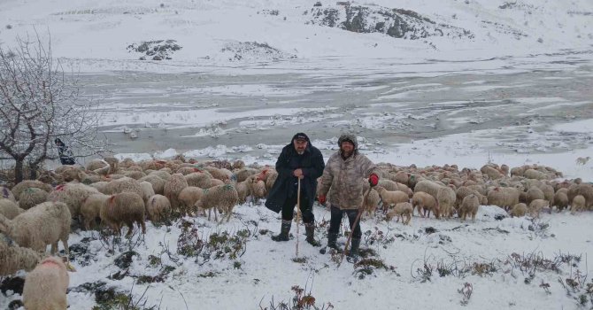 Tipi vurdu heyelan yolu kapattı, 2 çoban ve yaklaşık 650 küçükbaş hayvan yaylada mahsur kaldı