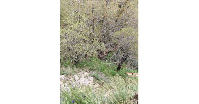 Isparta’da yüksekten düşen 36 yaşındaki kadın hayatını kaybetti