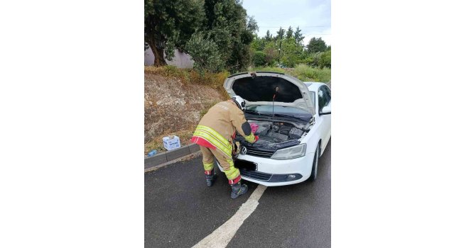 Arsuz’da otomobilin motoruna giren kediler kurtarıldı