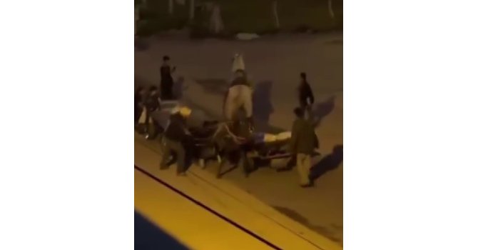 Atlara işkence kamerada