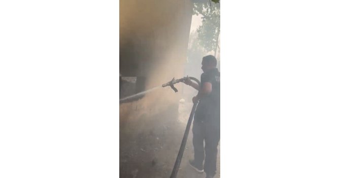 Osmaniye’de kiler yangınında kedi ve yavruları kurtarıldı