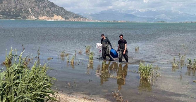 Eğirdir Gölü’nde 100 metrelik yasa dışı ağ ele geçirildi