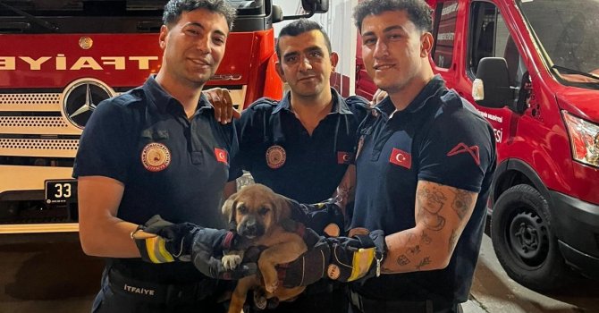 Otomobilin motoruna sıkışan yavru köpeği itfaiye kurtardı