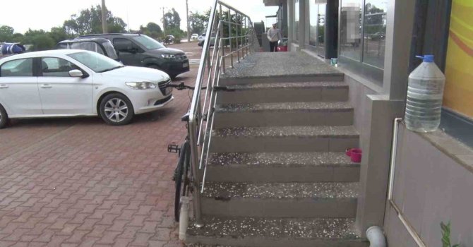 Antalya’da yabancı uyruklu şahıs kedinin üzerine bastı, köpeği tekmeledi