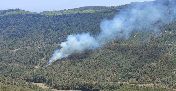 Mersin’de orman yangını: Ekiplerin müdahalesiyle kontrol altına alındı