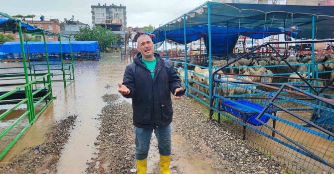 Adana’da kurban pazarını sel vurdu, besici gözyaşlarına boğuldu