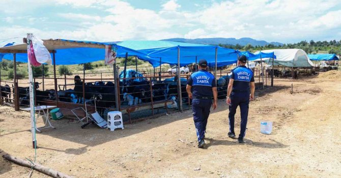 Mezitli’de Kurban Bayramı öncesi sıkı denetim