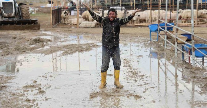Kurban pazarlarını su bastı, besiciler belediyeye isyan etti