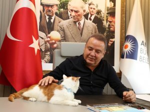 Başkan Böcek Hayvanları Koruma Günü’nü Toros’la kutladı