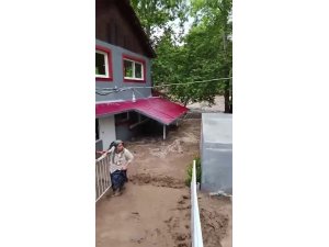 Aşırı yağışla birlikte taşan dere evleri su altında bıraktı
