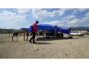 Kahramanmaraş’ta bayram temizliği ve ilaçlama çalışmaları sürüyor