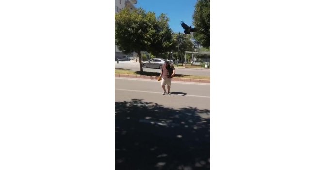 Yolda yürürken kargaların saldırısına uğradı neye uğradığını anlamadı