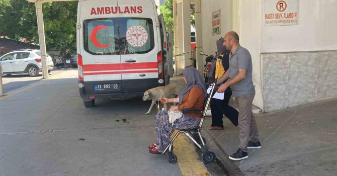 Mantar yiyen 7 kişi zehirlenme şüphesiyle hastaneye kaldırıldı