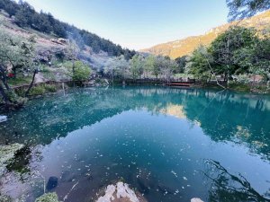 Kahramanmaraş’ta "Yeşilgöz" göz kamaştırıyor