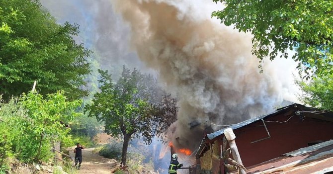 Kozan’da yayla evindeki yangın ormana sıçradı, ekipler müdahale ediyor