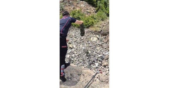 Yatak ve halıların arasına saklanan yılanı itfaiye buldu