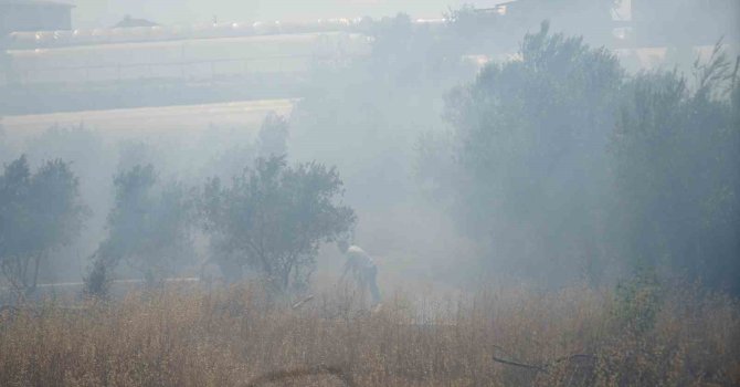Antalya’da sera ve evleri tehdit eden yangın mahalleliyi korkuttu