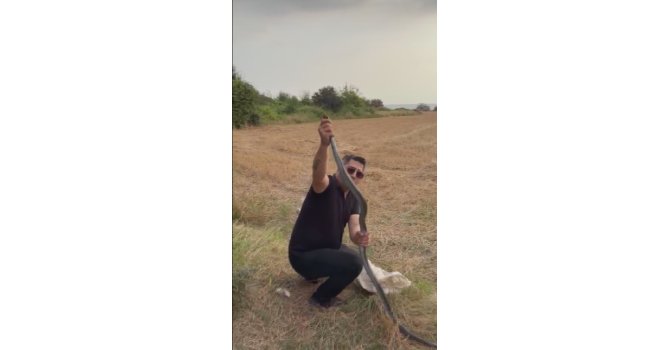 Kümese giren 2 metrelik yılanı yakalarken elinden ısırıldı