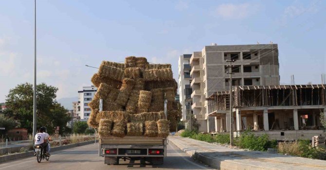Aşırı saman yüklü pikabın trafikteki tehlikeli yolcuğu