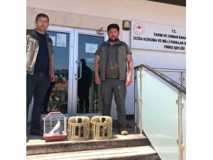 Kuş denetiminde kafeslerdeki keklik ve papağanlara el konuldu
