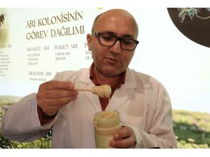 Bu da beyaz bal: Gören önce inanmıyor ama tamamen gerçek ve doğal bal