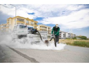Mersin’de sinek ve haşerelere karşı yoğun mesai