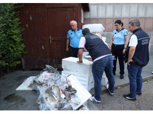 Antalya Otogarı’nda balık operasyonu: 260 kilo ele geçirildi