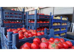 Sebze halindeki domatesin fiyatı 15 TL’ye düştü